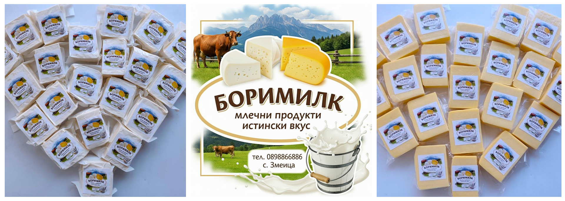 Производство на млечни продукти Змеица